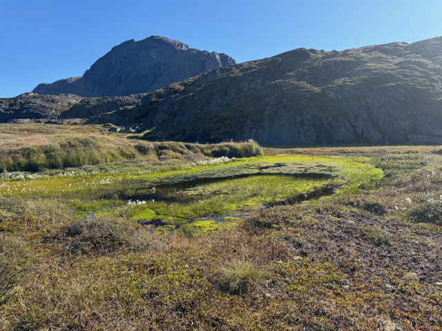 4 ULisbon   Greenland 2025