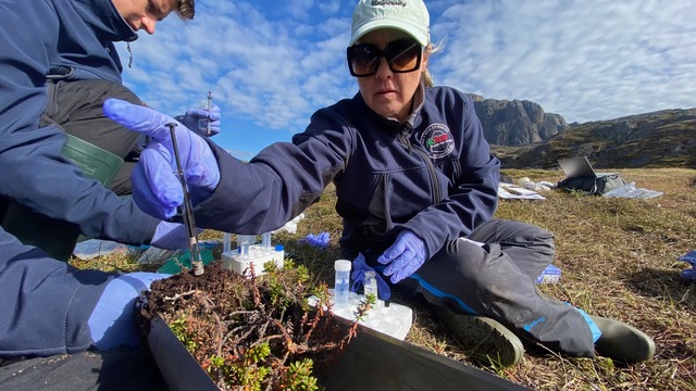 8 ULisbon   Greenland 2025