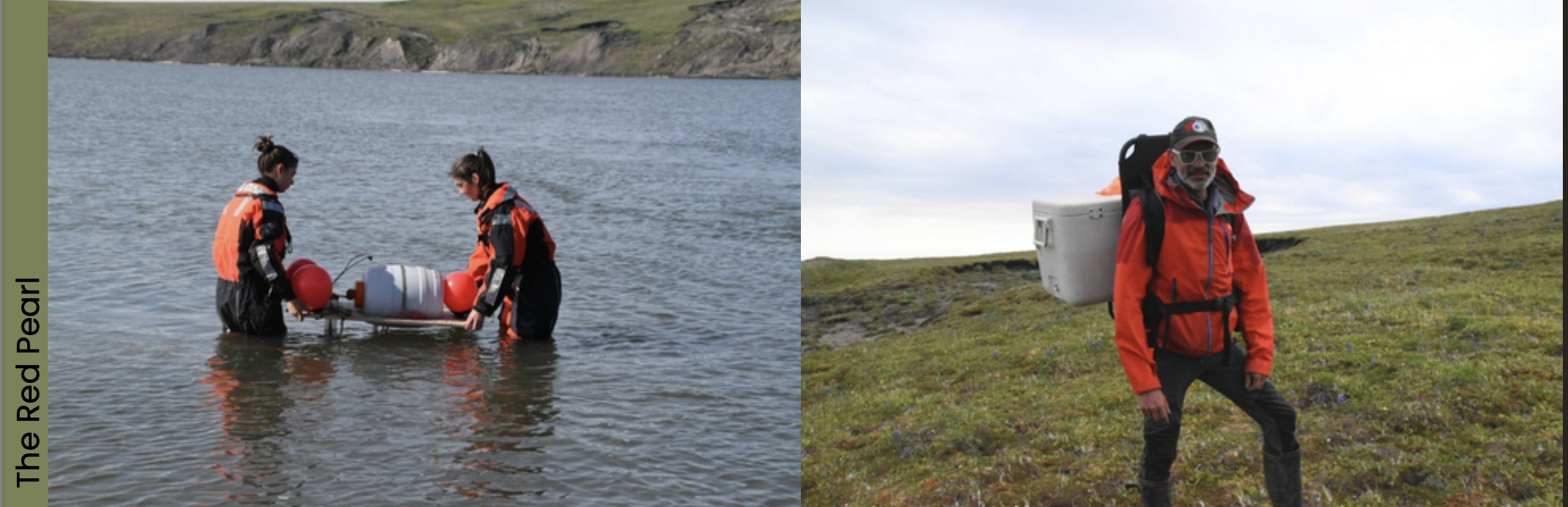 Screenshot 2025 07 24 at 15.36.56